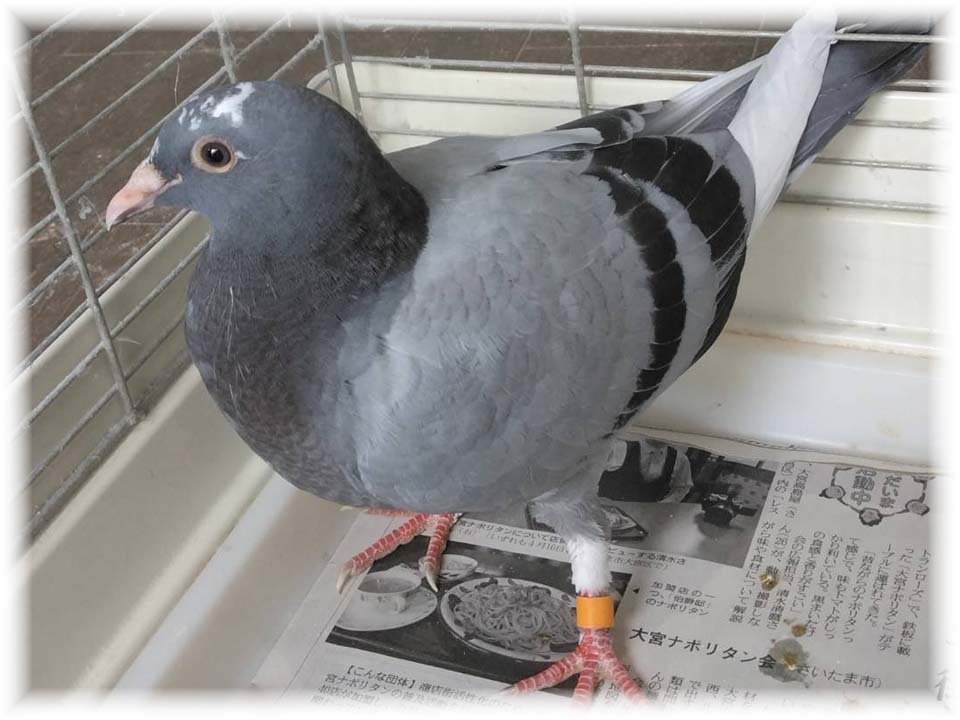 詳細ページへ