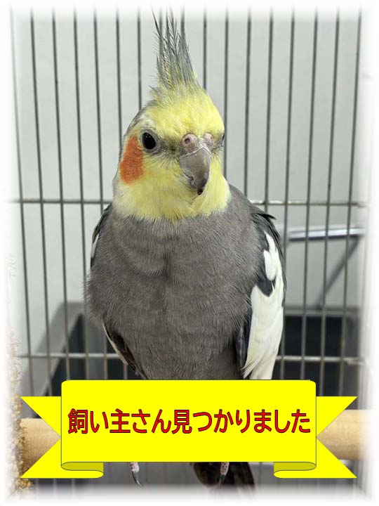 詳細ページへ