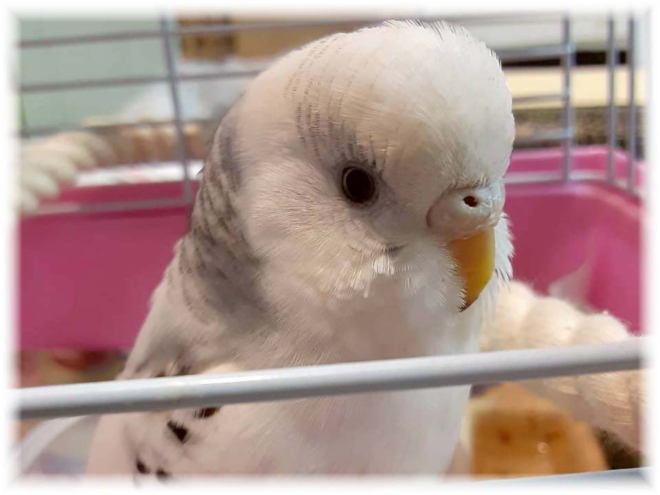 詳細ページへ