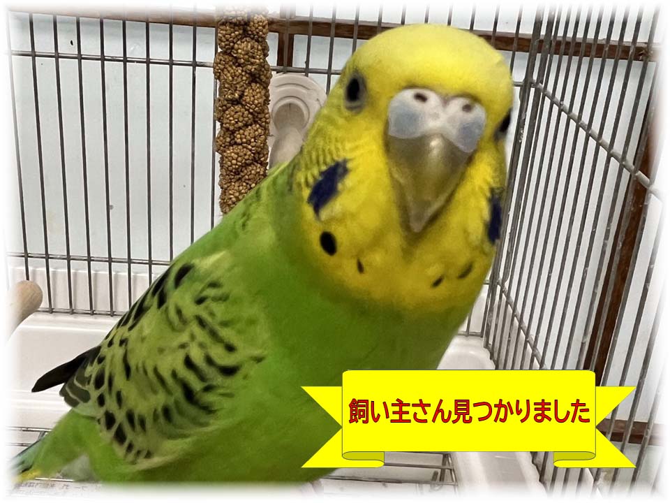詳細ページへ