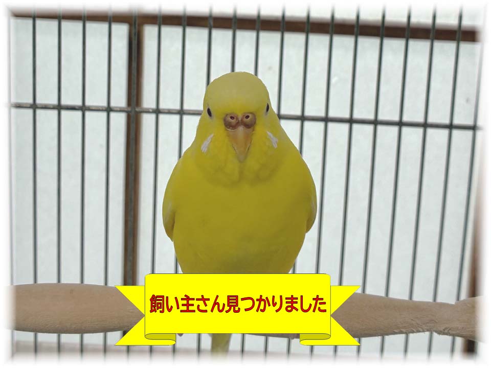詳細ページへ