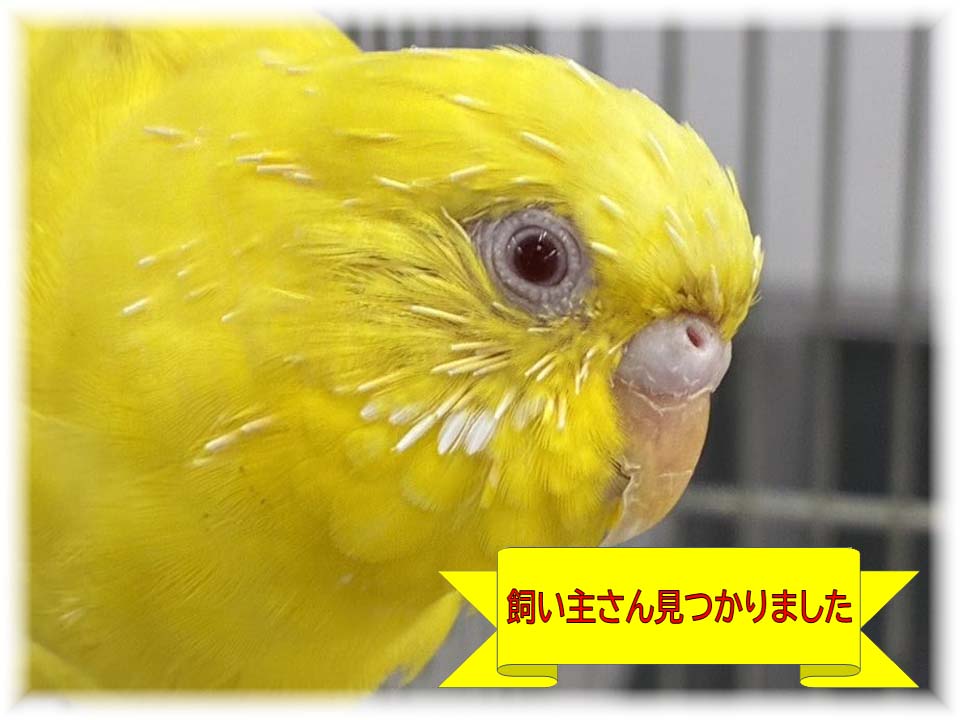 詳細ページへ
