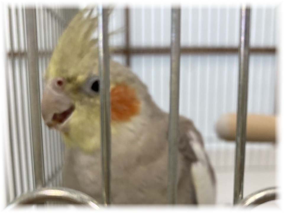 詳細ページへ