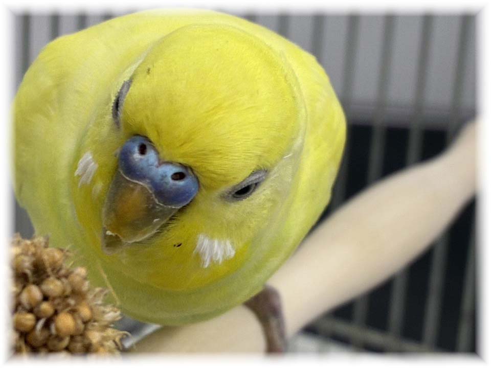 詳細ページへ