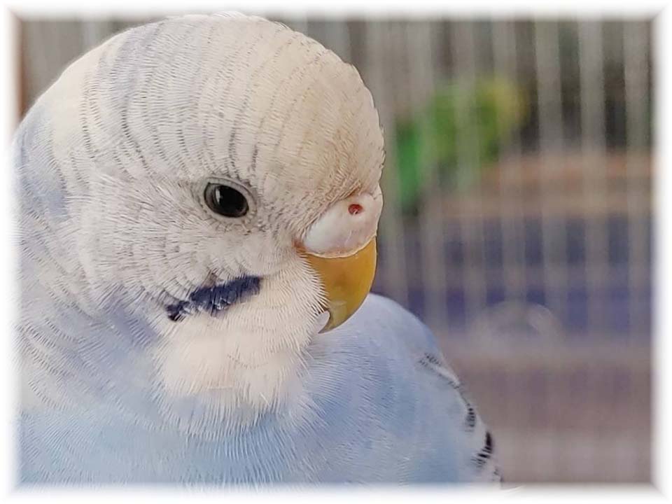 詳細ページへ