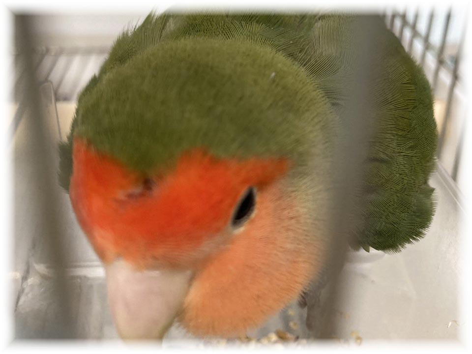 詳細ページへ