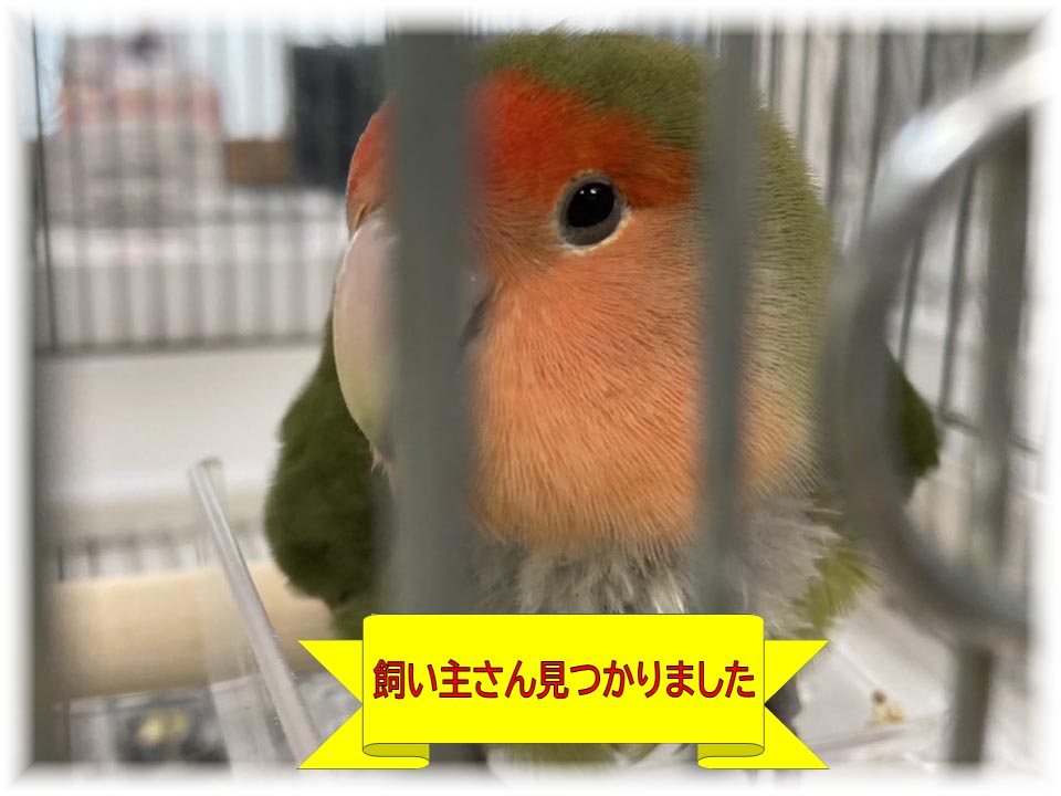 詳細ページへ