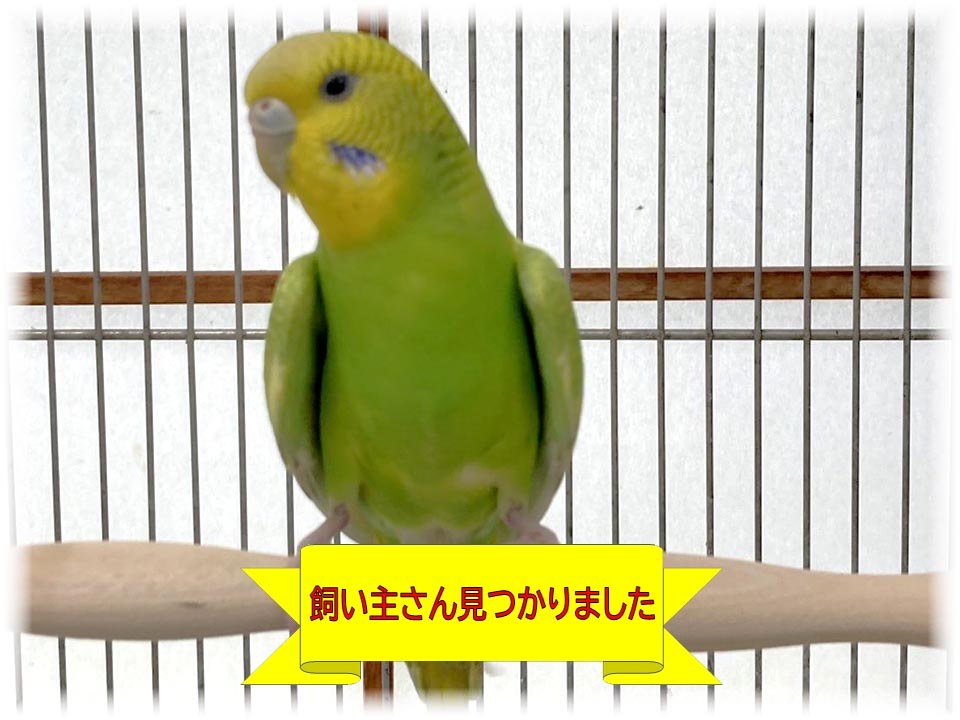 詳細ページへ