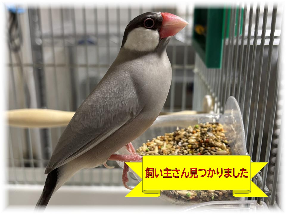 詳細ページへ