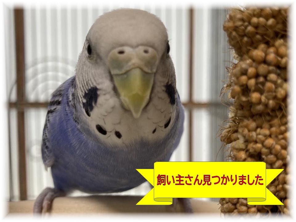 詳細ページへ